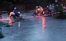 Đi nước ngoài học tập kinh nghiệm rồi... nghỉ hưu!