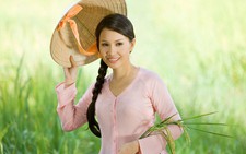 Quang Linh, Quang Dũng, Đan Trường, Cẩm Ly chấm 