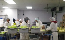 ​Thái Lan giảm 75% phí thị thực đối với lao động Việt Nam