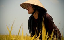 Xem cảnh làng quê tuyệt đẹp trong phim 