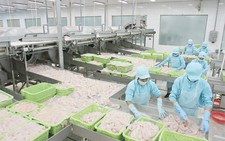 ​Ngành thủy sản đón nhận cơ hội từ Cộng đồng ASEAN