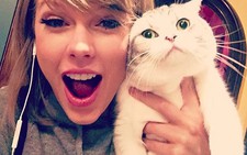 Taylor Swift có nhiều ảnh được thích nhất Instagram