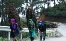 Miền Bắc rét đậm, rét hại dịp Tết Tây