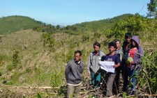 Phá rừng để xin trồng rừng