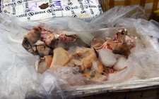 Phát hiện nửa tấn thịt bò 