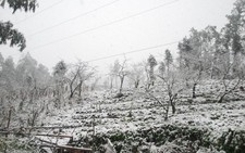 ​Tháng 1-2016: Có thể xảy ra 1-2 đợt rét đậm, rét hại