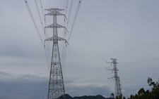 Điện Lực miền Nam lợi nhuận 350 tỉ đồng năm 2015