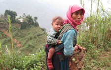 Khoảnh khắc cuộc sống: mùa đông thiếu ấm ở Mã Pí Lèng