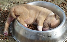 Không nhịn được cười với kiểu ngủ 