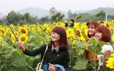 Selfie nguy hiểm hơn... cá mập!