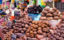 ​Peru nghiên cứu trồng một số giống khoai tây trên sao Hỏa