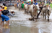 ​Công bố 15 di sản văn hoá phi vật thể quốc gia