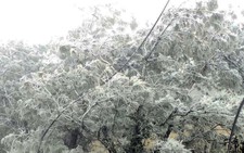 Việt Nam đón đợt rét sâu nhất từ đầu mùa đông