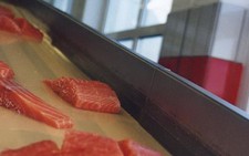 ​Bí quyết giúp cá hồi Na Uy giành ưu thế trước cá hồi Chile