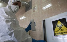 ​50 người thiệt mạng vì cúm heo ở Nga