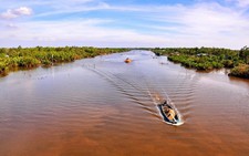 ​Cuộc thi 