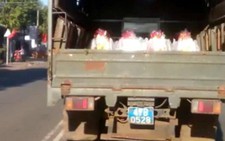 Yêu cầu báo cáo vụ “xe công an chở quà tết chạy ẩu”