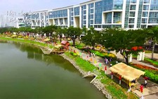 Video: Toàn cảnh Hội chợ hoa xuân hoa Phú Mỹ Hưng 