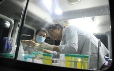Phát hiện thêm hai lô heo dương tính với chất cấm