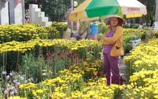 Tết này dân Sài Gòn chuộng ăn, liệu hoa kiểng ế ẩm?