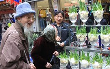 Tết thì phải vui!
