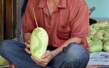Xoài sạch được 