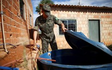 Brazil mở chiến dịch toàn quốc chống Zika