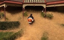Video loài cỏ kỳ dị 