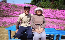 Cụ ông trồng cả 