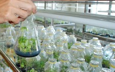 Doanh nghiệp góp phần đưa Nghệ An phát triển nhanh