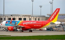 ​Hoãn chuyến bay vì có kiến trên ngăn để hành lý