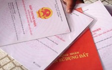 Tiền Giang tồn đọng hơn 33.000 hồ sơ xin cấp 