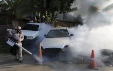 ​Ca nhiễm vi rút Zika qua đường tình dục đầu tiên tại Pháp