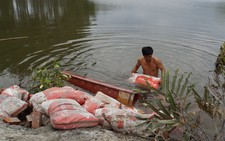 Vụ ngang nhiên trói đánh người: Phải nói rõ có chửi dân không