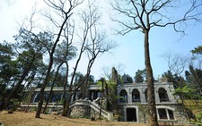 Lợi ích kinh tế đe dọa hủy diệt rừng