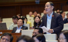 Đại biểu Quốc hội ngồi im re chỉ tốn tiền dân