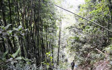 “Báu vật” trên đỉnh Ngok Ply