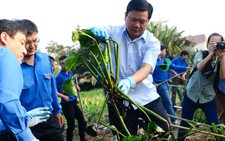Tuổi trẻ TP.HCM đồng loạt ra quân Chủ nhật xanh