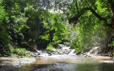 ​Trên 100.000ha rừng ở tỉnh Kon Tum có nguy cơ cháy cao