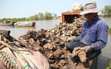4 tỉnh công bố thiên tai do hạn hán