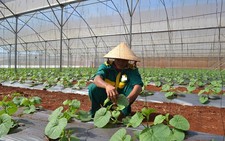 ​Tăng ứng dụng công nghệ để tiết kiệm nước