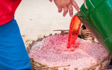 Ảnh ngư dân nhuộm đỏ con ruốc gây 