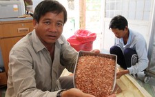 Làm gì để có một nền nông nghiệp sạch?