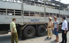 Bắt nhiều xe 