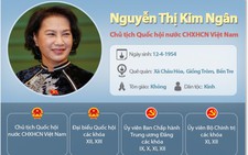Chân dung tân chủ tịch Quốc hội Nguyễn Thị Kim Ngân