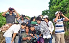 Chàng “vệ sĩ” của Sơn Trà