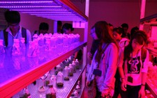 Ra mắt Phòng thí nghiệm ứng dụng LED