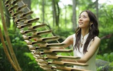Câu chuyện hòa bình: Những “cầu nối” văn hóa Việt - Nhật