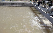 ​Đồng Tháp miễn thuế, hỗ trợ kinh phí đầu tư công trình nước sạch