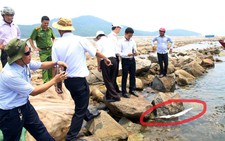 ​Bộ Công thương cử đoàn công tác kiểm tra Formosa
